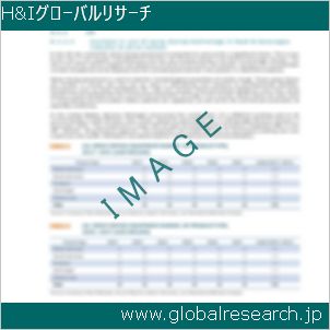 グローバルリサーチ調査レポートのイメージ